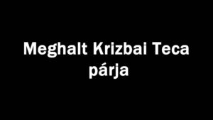 Meghalt Krizbai Teca párja